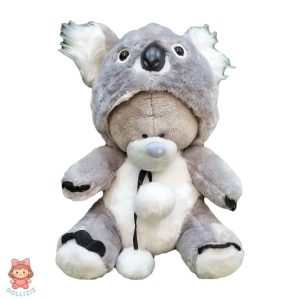 خرس های لباس‌پوش بامزه