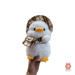 اردک کلاهدار