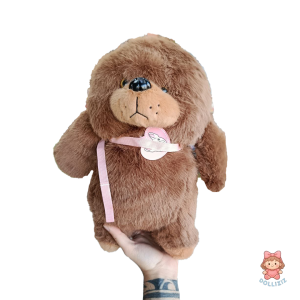 سگ پودل قلاده‌دار (وارداتی)